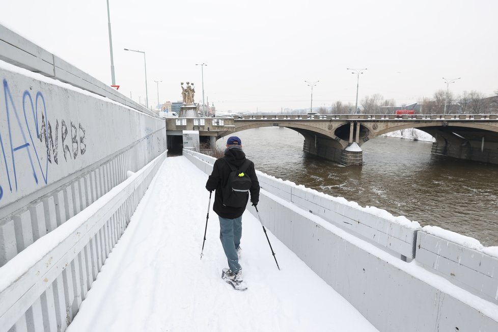 Sněhu bylo dostatek, sněžnice si to tady užívaly!