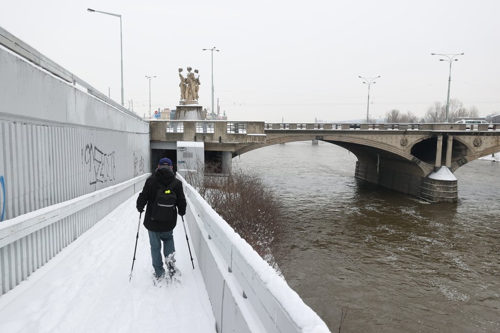 Sněhu bylo dostatek, sněžnice si to tady užívaly!