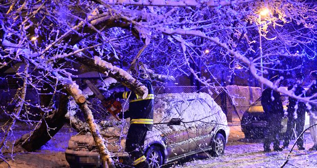 Strom v Praze nevydržel nápor sněhu a spadl na auto.