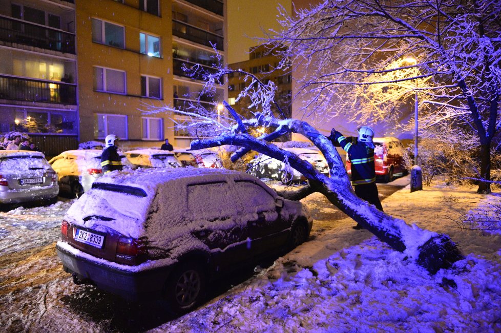 Strom v Praze nevydržel nápor sněhu a spadl na auto.