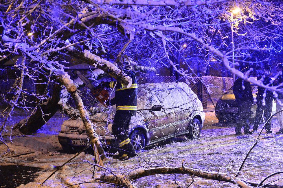 Strom v Praze nevydržel nápor sněhu a spadl na auto.