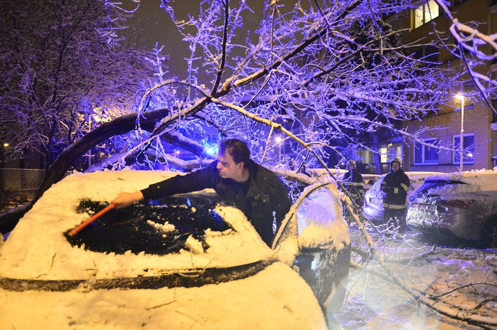 Strom v Praze nevydržel nápor sněhu a spadl na auto.