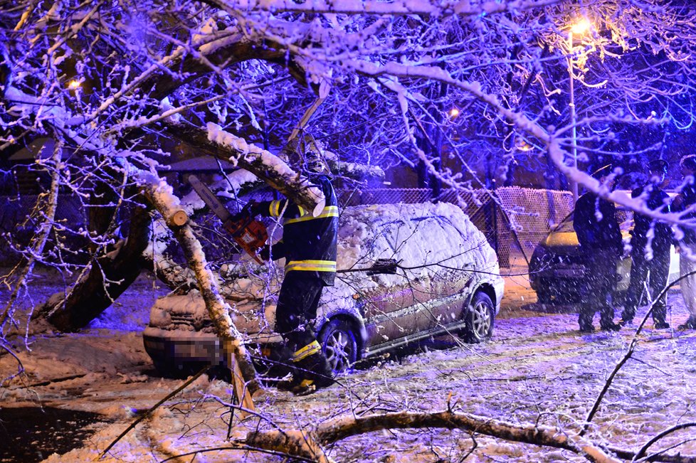 Strom v Praze nevydržel nápor sněhu a spadl na auto.