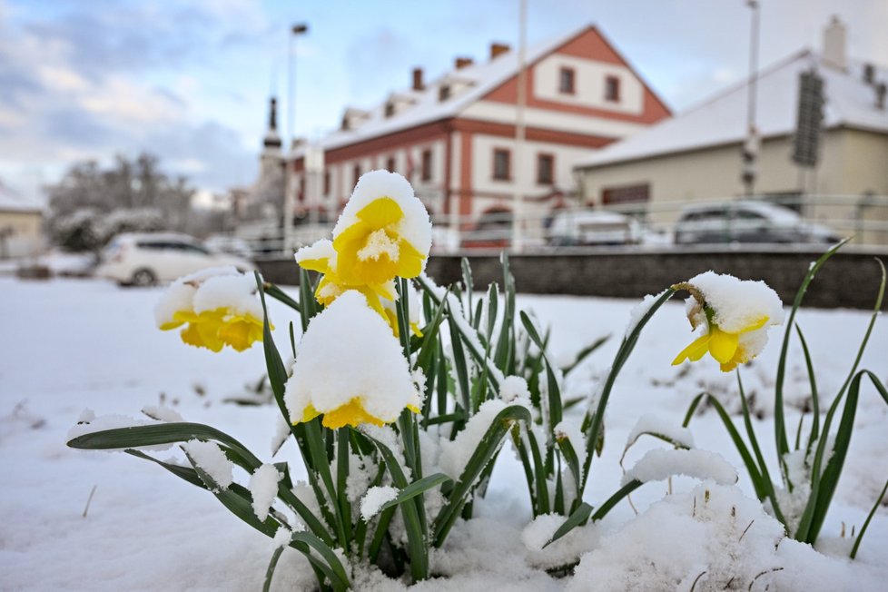 28. března se do Česka vrátil sníh.