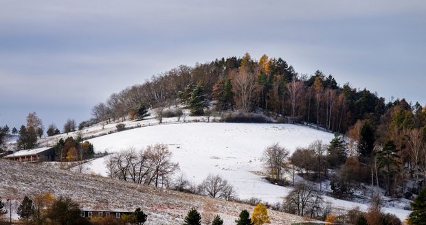 Čerstvý sníh v Česku (25.11.2023)