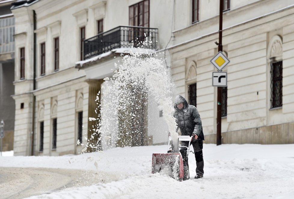 Česko zasypal sníh. (8.2.2021)