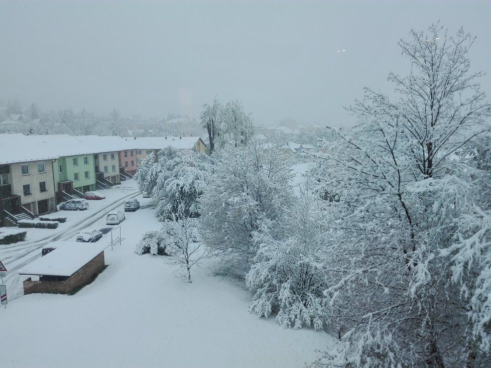 Sníh na konci dubna překvapil velké množství lidí.