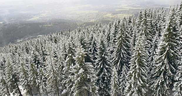 V Česku mrzne až praští. Teploty klesají pod mínus 20 stupňů