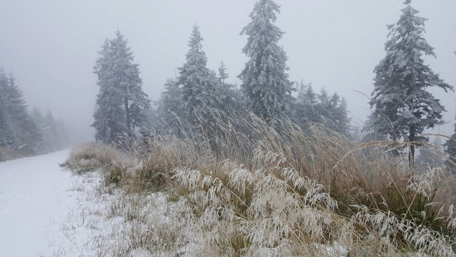 První sníh letošní zimy v Beskydech