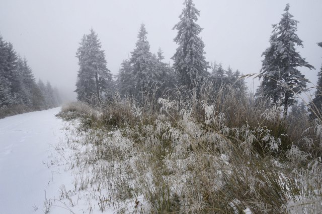 Ochladí se natolik, že na vrcholcích hor bude sněžit nebo budou vypadávat srážky smíšené, tj. deště se sněhem.   (ilustrační foto)