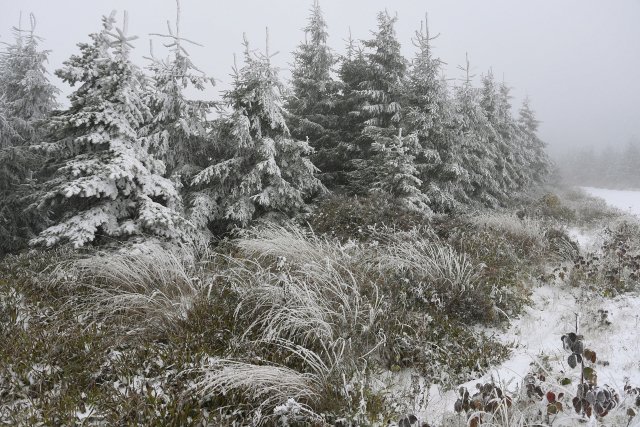 První sníh letošní zimy v Beskydech