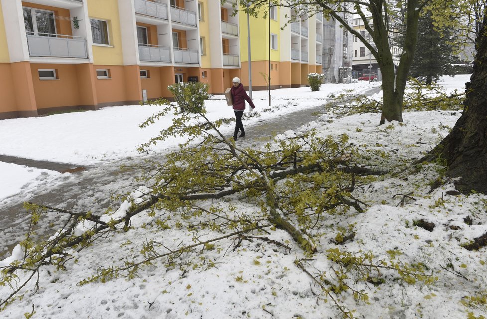 Sněhová kalamita dala Česku pořádně zabrat.