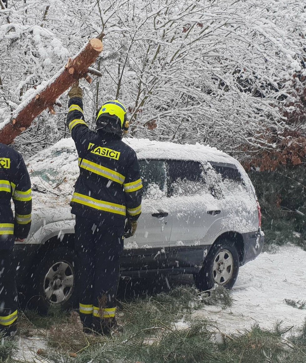 V Plzni na Bílé Hoře spadl kvůli sněhu strom na auto. Hasiči kmen rozřezali.