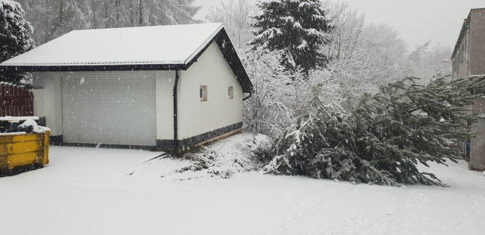 V Plzni na Bílé Hoře spadl kvůli sněhu strom na auto.