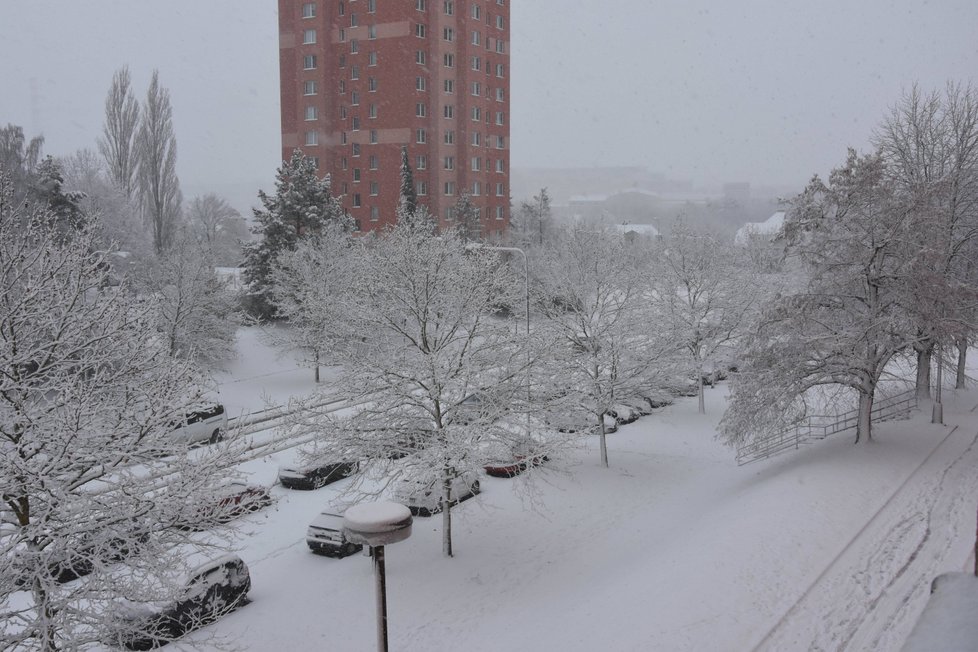 Zasněžená Plzeň.