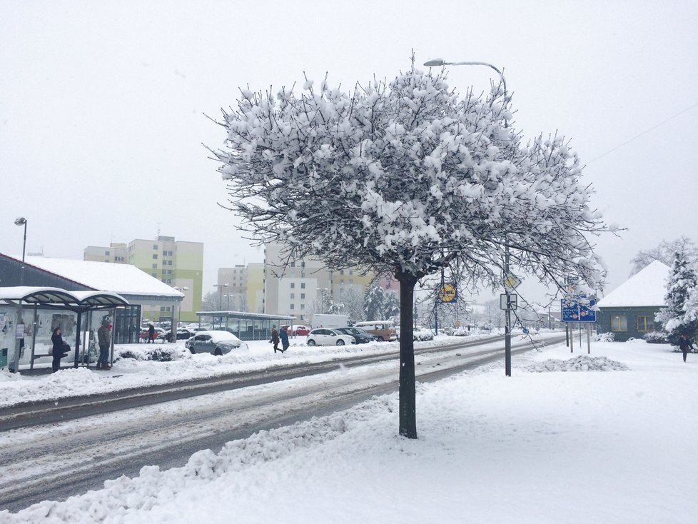 Jižní Moravu zasypal sníh. Např. ve Veselí nad Moravou ho napadlo více, než 20 centimetrů.