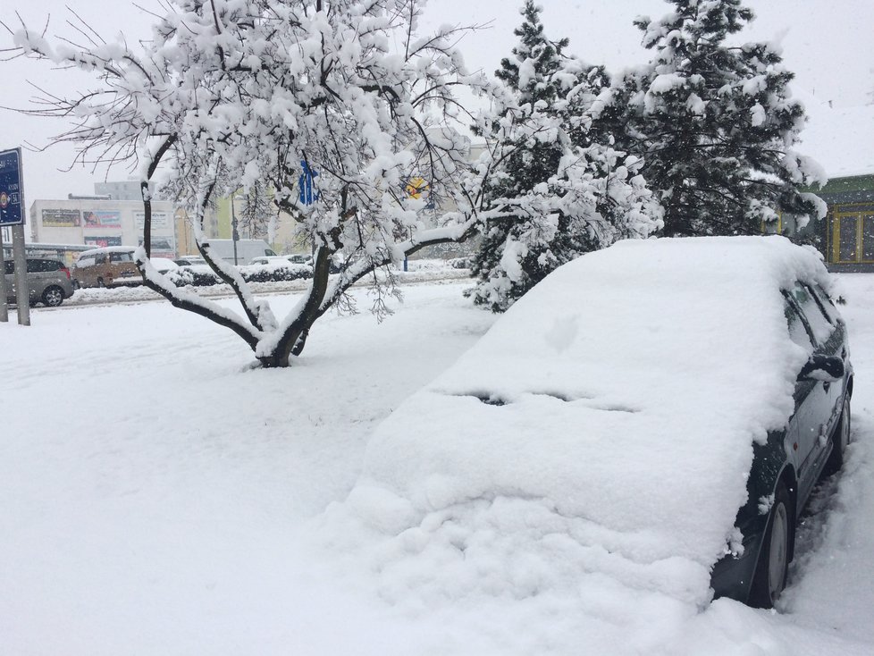 Jižní Moravu zasypal sníh. Např. ve Veselí nad Moravou ho napadlo více, než 20 centimetrů.