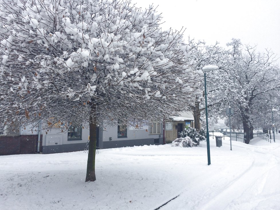 Jižní Moravu zasypal sníh. Např. ve Veselí nad Moravou ho napadlo více, než 20 centimetrů.