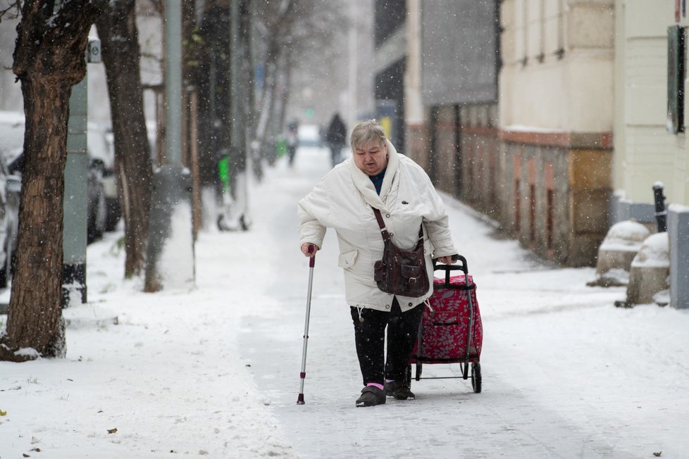 Nasněžilo i v Praze. (12. 12. 2022)