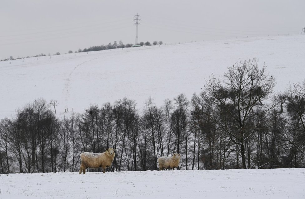 Slušovice, Zlínsko (12. 12. 2022)