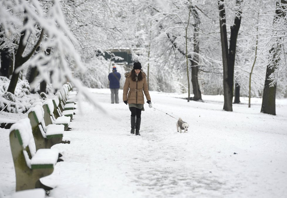 Namrzlé chodníky, sněhové závěje a klouzající vozovky