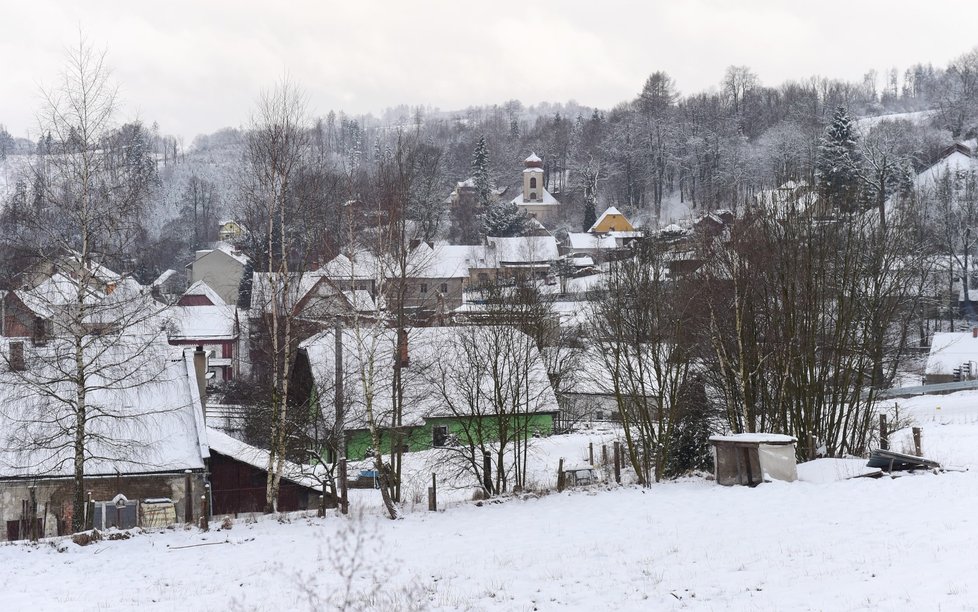 Čerstvě zasněžený Domašov nad Bystřicí na Olomoucku (13. 1. 2021)