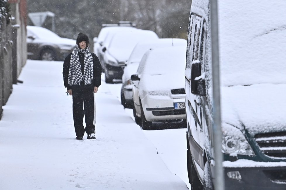 Do Česka se v noci na 28. března vrátil sníh.