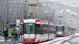 Brno hlásí rekord: 18 cm! Nejvíce sněhu za 36 let a vydrží