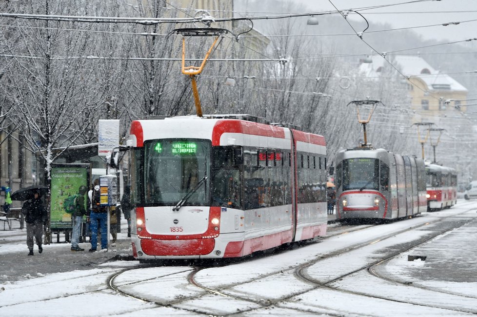 Sníh v Česku: Brno (9. 12. 2021)