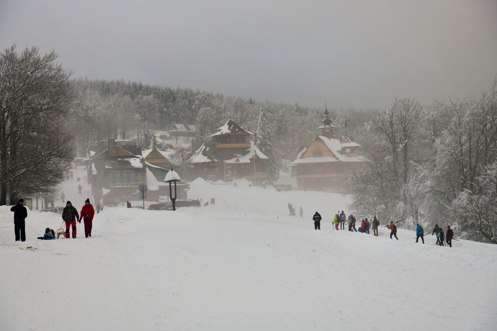 Sníh v Česku (26. 1. 2021)