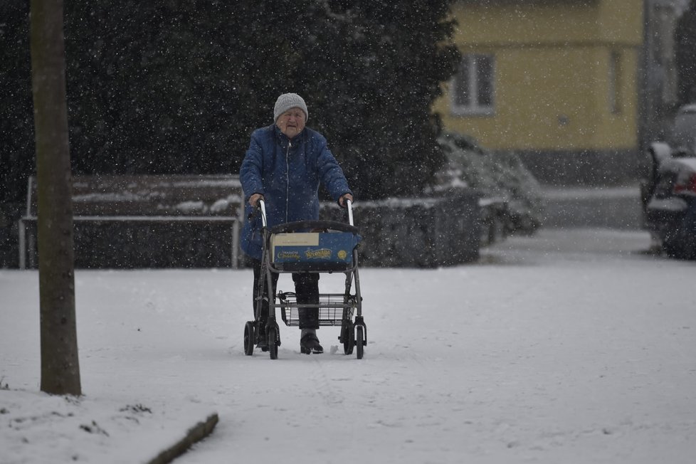 Sníh v Česku: Vizovice na Zlínsku (9. 12. 2021)