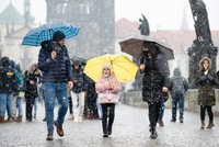Sněhová kalamita zasáhla Česko: Smrtelná nehoda na Zlínsku, jižní Morava hlásí potíže s dopravou