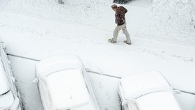 Technická správa komunikací hlásí, že na sníh v hlavním městě je připravena. (ilustrační foto)