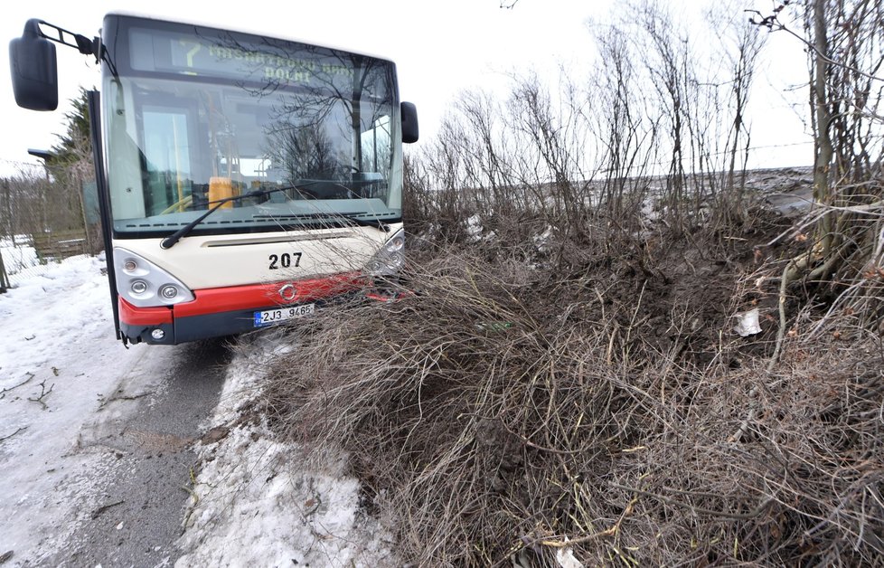 Linkový autobus havaroval 14. ledna 2019 v Jihlavě, kvůli náledí sjel ze silnice na cyklostezku. Dopravu na Vysočině komplikoval během dne silný vítr a sněhové přeháňky.