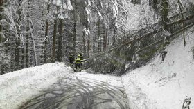 Kvůli sněhu a větru už týden zasahují hasiči u desítek událostí především v horských oblastech Karlovarského kraje.