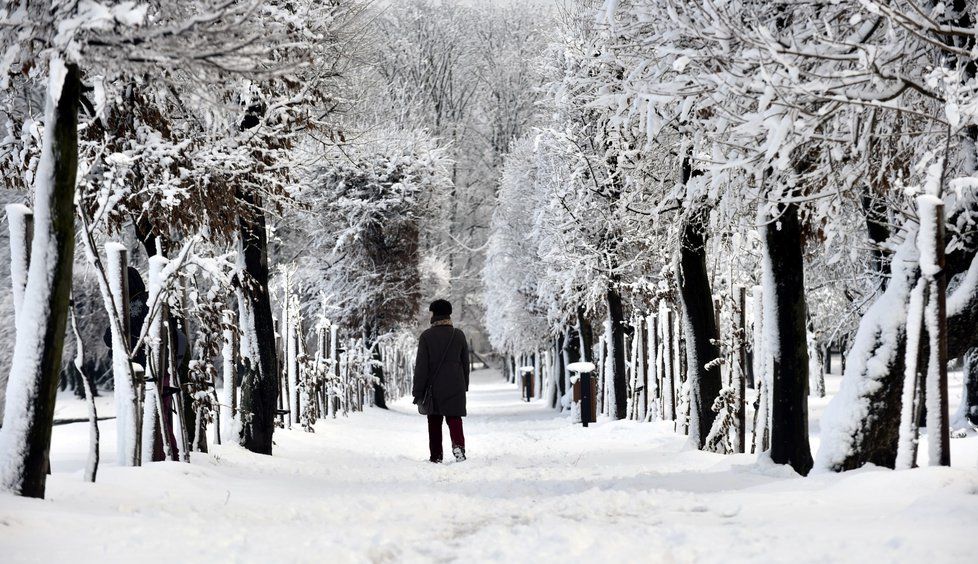 Zasněžený zámecký park v Holešově na Kroměřížsku