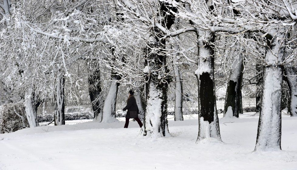 Zasněžený zámecký park v Holešově na Kroměřížsku