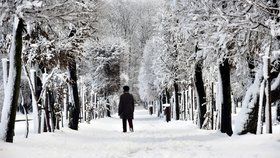 Zasněžený zámecký park v Holešově na Kroměřížsku