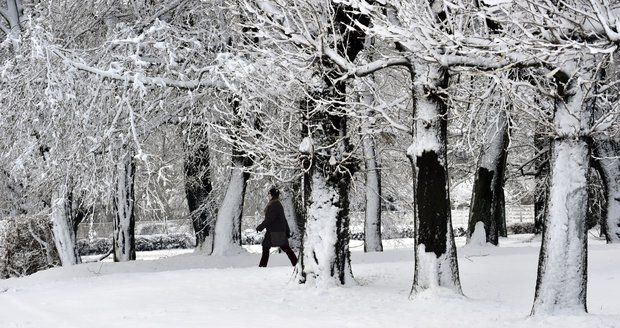 Zasněžený zámecký park v Holešově na Kroměřížsku