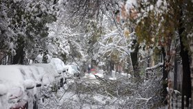 Sníh v Bulharsku (26.11.2023)