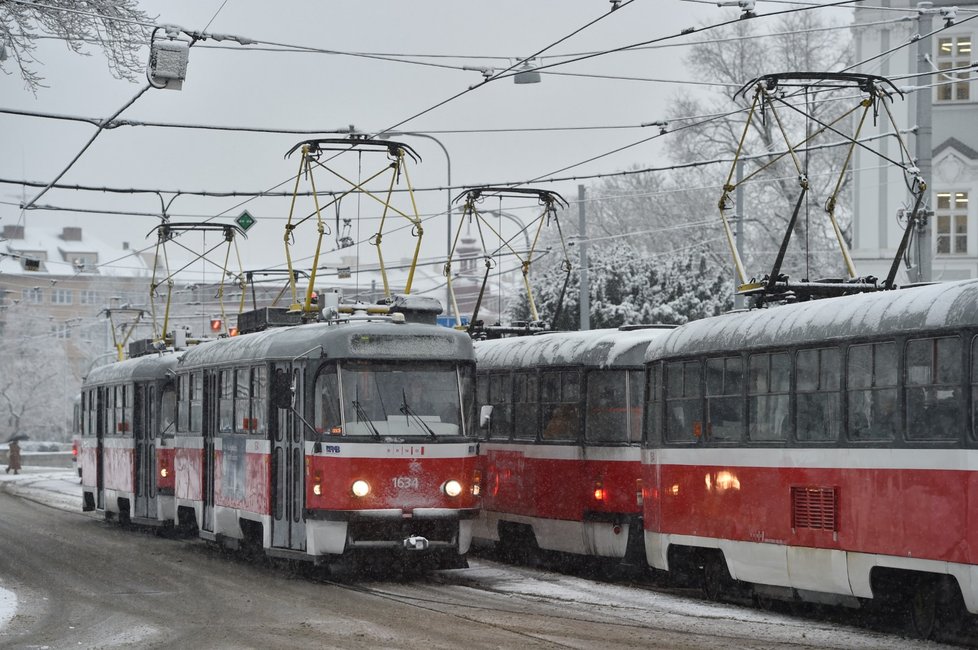 Sníh v Česku: Jihomoravský kraj (9.12.2021)