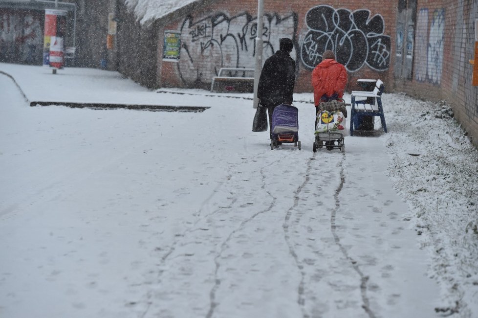 Sníh v Česku: Jihomoravský kraj (9. 12. 2021)