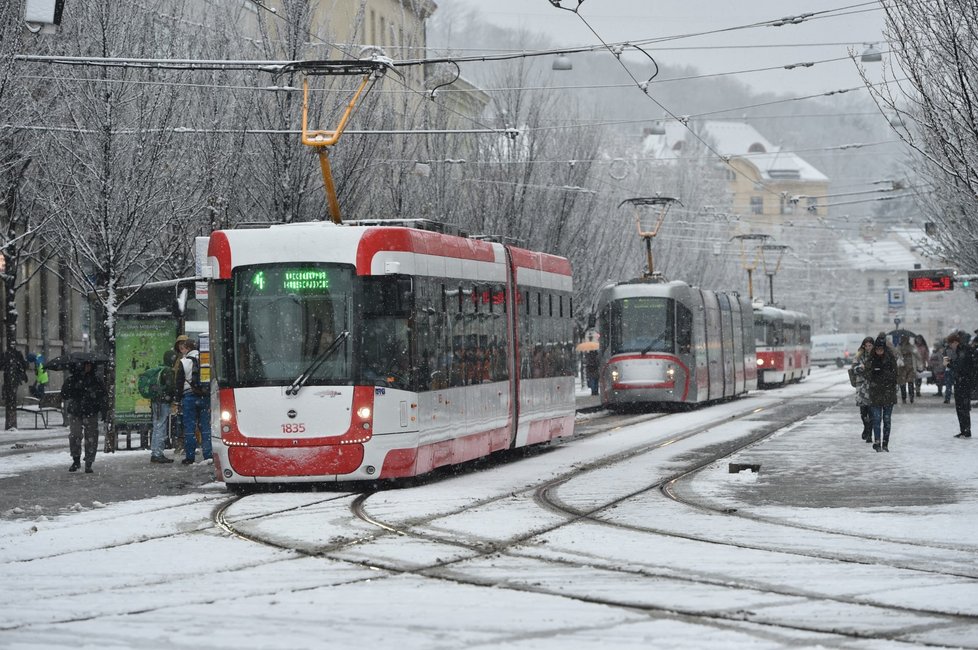 Sníh v Česku: Jihomoravský kraj (9. 12. 2021)