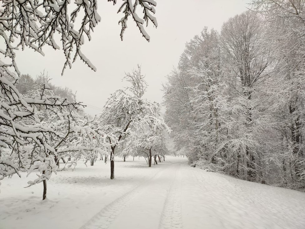 Kopřivnice-Mniší  (13. 12. 2022)