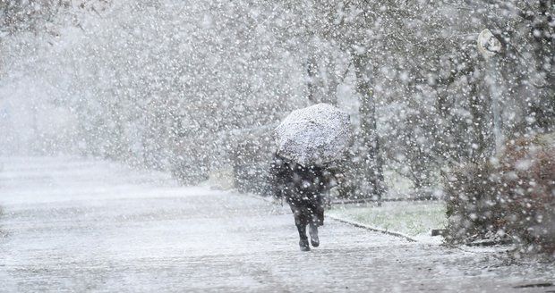 Do Česka se valí chumelenice a silný vítr, napadne až 30 centimetrů sněhu