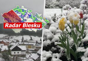 Do Česka se vrátil sníh.