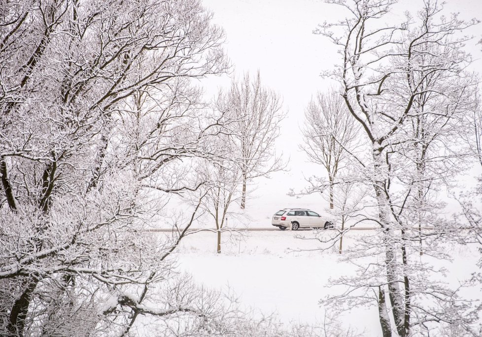 Podle Českého hydrometeorologického ústavu (ČHMÚ) se budou teploty pohybovat mezi -1 až 3°C, na horách až -4°C