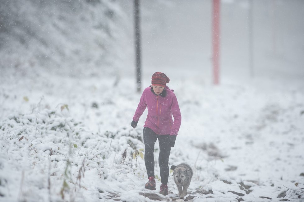 První sníh letošní zimy pokryl vrchol hory Kleť na Českokrumlovsku (13. 11. 2019)