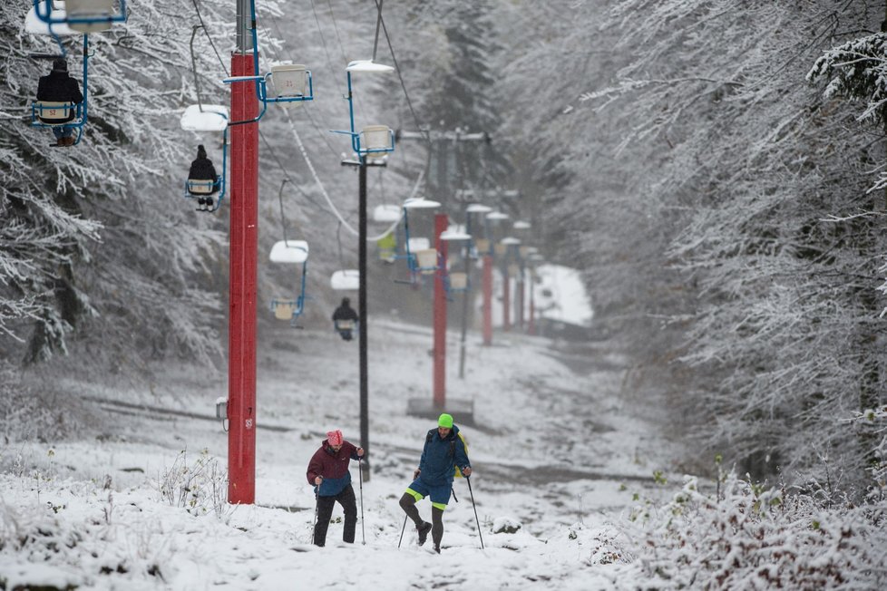 První sníh letošní zimy pokryl vrchol hory Kleť na Českokrumlovsku (13. 11. 2019)