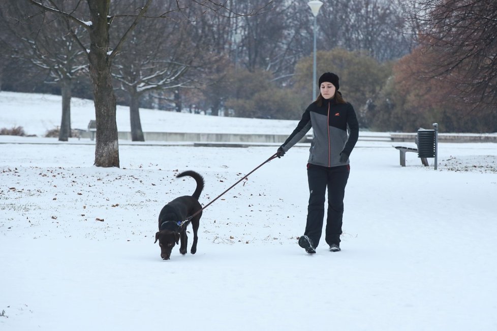 Česko zasype o víkendu sníh, napadne až 25 centimetrů. Pozor na náledí a zmrazky